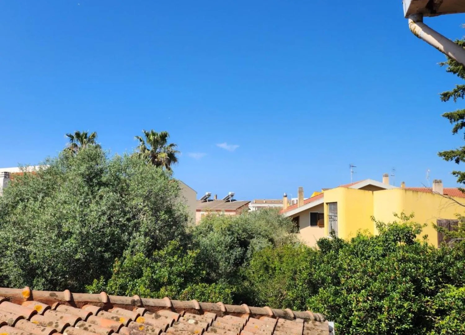 ألغيرو Villa Edera فندق مبيت وإفطار