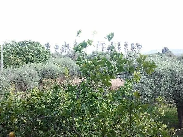 فندق مبيت وإفطار ألغيرو Villa Edera