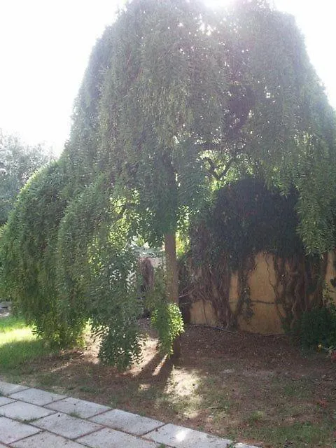 فندق مبيت وإفطار ألغيرو Villa Edera