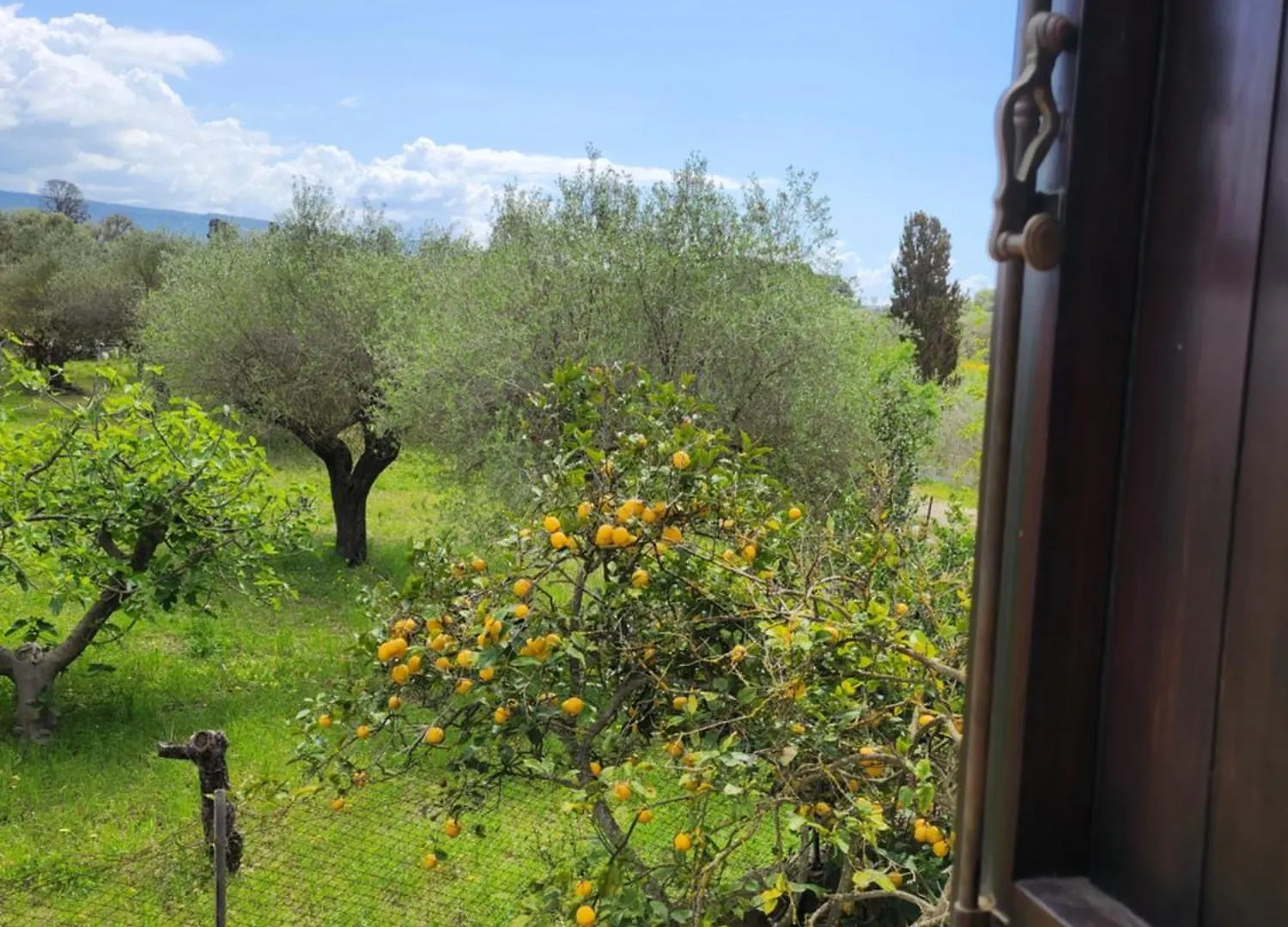 ** Bed & Breakfast Villa Edera Alghero Italy